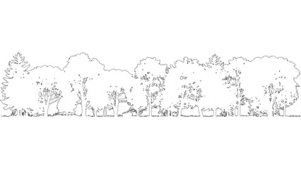 Detailed Forest Edge Outline Vector Illustration with Trees and Bushes on Transparent Backdrop