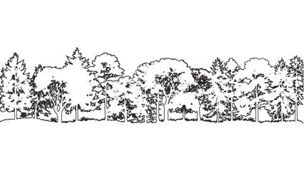 Detailed Forest Edge Silhouette Vector Illustration with Trees and Bushes on Transparent Backdrop