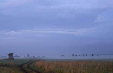 misty dawn in a field with forests and trees in a valley