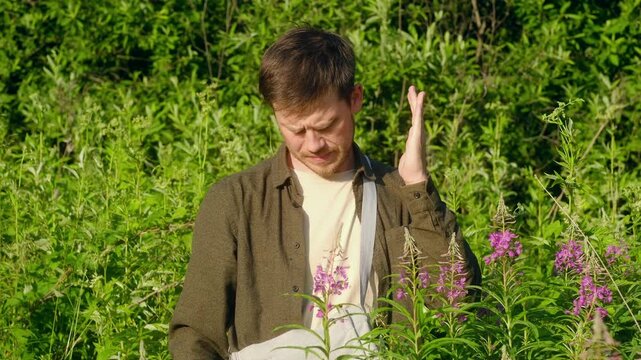 Dedicated young botanist working in field, persistently collecting plant samples while battling persistent mosquito swarms and experiencing uncomfortable bites during summer research expedition