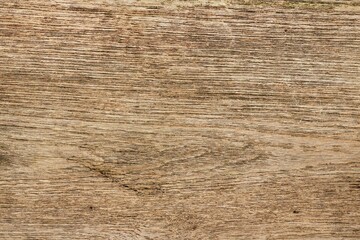 close up of wooden texture for background                                                                                                             