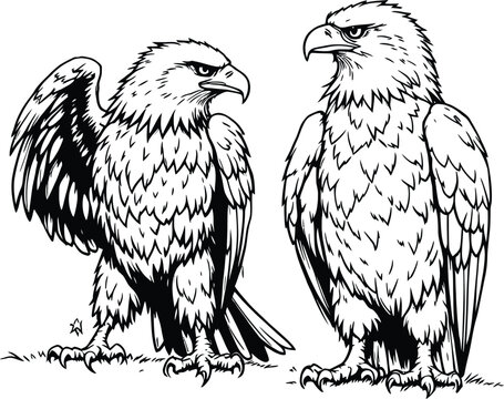 Black-and-White Vector Illustration of Eagle Pair – 2-Item Symbolic Animal Silhouette Set