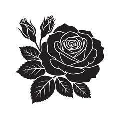 Black and White Rose Illustration with Buds and Leaves