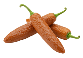 Three long pepper (Piper longum) fruits, white background isolated