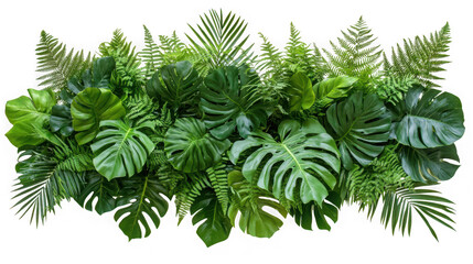 Lush tropical foliage arrangement with various green leaves isolated on transparent background