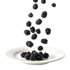 Blackberries Falling onto a Plate A Culinary CloseUp