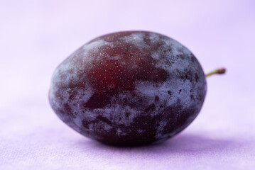 Fresh blue plum fruit on purple background