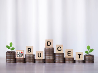 Wooden blocks with the word BUDGET and plants growing up on stack of coins. The concept about...