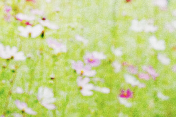 ざらざらの紙とぼやけたコスモス畑の画像