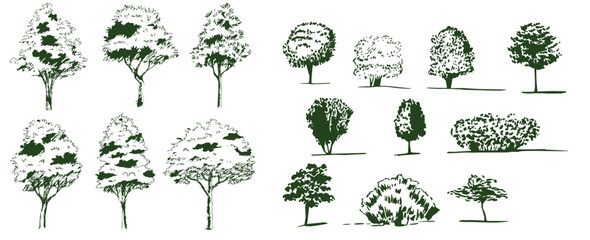 Vector drawing set of trees in engraving style. vintage tree illustration, black and white sketch
