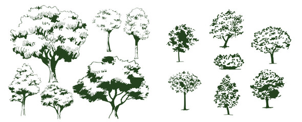 Vector drawing set of trees in engraving style. vintage tree illustration, black and white sketch