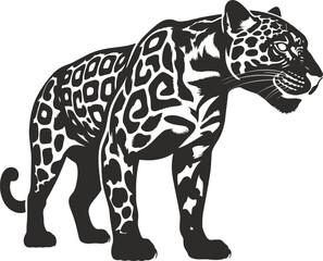 Fototapeta premium leopard on white background