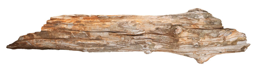 Broken tree branches with detached bark. Rustic wood branch. Weathered driftwood log isolated....
