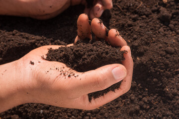 hands holding soil