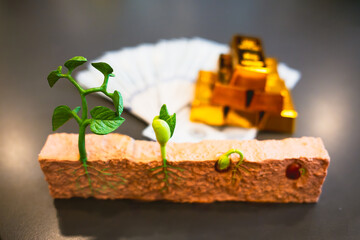 A tree's journey from seed to strong entity mirrors gold investment. This shows how gradual...