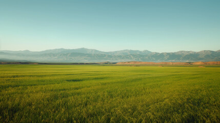 Vibrant Green Field with Distant Mountains under a Clear Sky