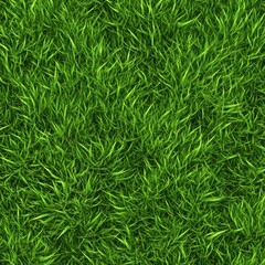 Lush green grass texture with vibrant blades, creating a fresh and natural background suitable for outdoor or nature-themed designs