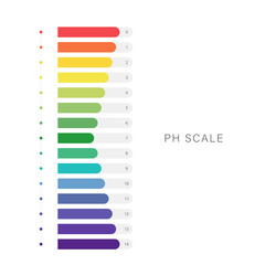 PH Scale balance. Indicator for concentration of hydrogen ion in solution. Ph analysis or chemical test. Flat Vector illustration.