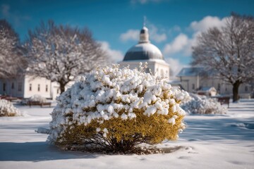 Snowy winter scene with a yellow shrub