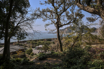 March 23 2025 Moss Covered Rocks and Sunlight Filtering Through Trees