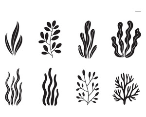 Black and white stylized seaweed and plant vector illustration set