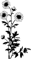Daisy flower and leaves corner border silhouette