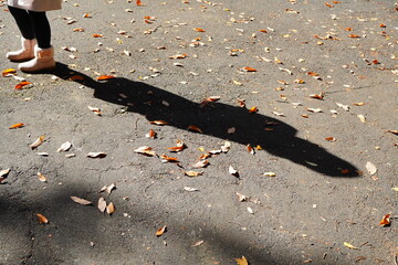 秋の公園で落ち葉を踏みしめる人、長い影が印象的な午後の散歩道
