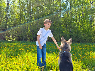 Child interacts with dog in a sunny meadow filled with dandelions on a warm afternoon in spring