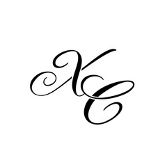 Elegant ZA Monogram Logo in Black Script – Luxury Calligraphy Initial Design on White Background	
