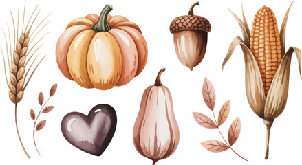 Autumn Harvest Watercolor Set Pumpkin, Corn, Acorn, Wheat, and Leaves Isolated on White