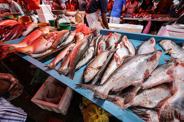 Fresh water river fish catfish mullet fish selling at wet market stall