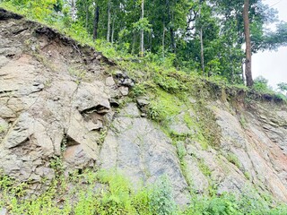 Scenic Mountain Landscape with Lush Green Forest and Misty Valleys, Nature Photography 2025