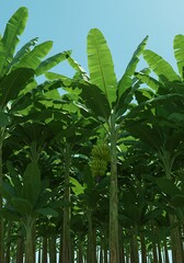 Obraz premium 青葉の楽園 ３D描写