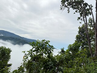 Scenic Mountain Landscape with Lush Green Forest and Misty Valleys, Nature Photography 2025