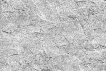 Textured Light Gray Rock Surface