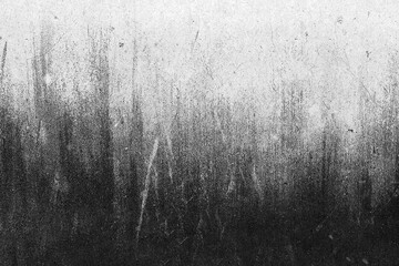Fototapeta premium Black and White Grunge Wall