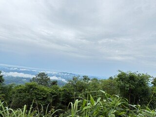 Scenic Mountain Landscape with Lush Green Forest and Misty Valleys, Nature Photography 2025