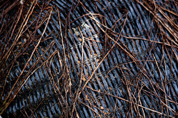 A close up of a black and brown object with a lot of weeds on it