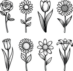 Pencil-style floral illustrations featuring tulips, daisies, sunflowers, and wild blossoms. Elegant and realistic flower drawings perfect for vintage prints