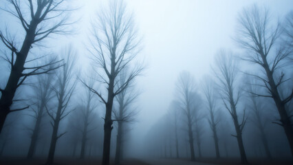 Obraz premium Misty Forest: Bare Trees in Dense Fog, Moody Autumn Landscape