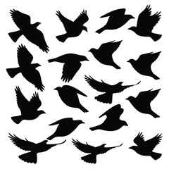 Elegant collection of flying birds silhouettes evoking freedom and nature's beauty for design projects