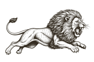 lion in a powerful pouncing position, with a flowing mane, drawn in an engraving style sketch engraving vector
