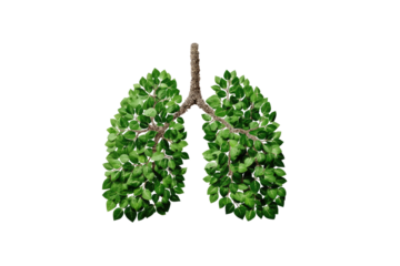 Lungs depicted as a leafy green tree