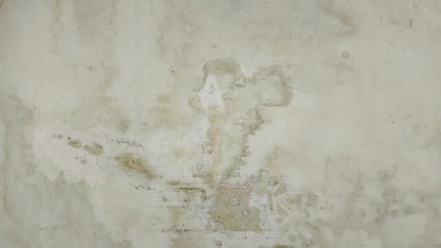 the walls of the house are damp due to rainwater seepage