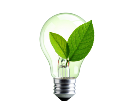 bulb with green leaf isolated