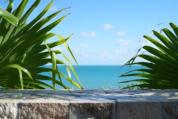 palm tree on the beach