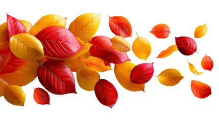 Autumnal Leaf Cascade: A vibrant dance of autumn leaves, swirling in shades of red, orange, and yellow, creates a dynamic and colorful display of the season's beauty. 