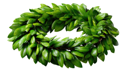 Laurel Wreath of Triumph: An exquisite laurel wreath, crafted from lush green leaves, symbolizing achievement and victory in a photorealistic artistic display.