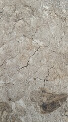 Dry mud cracked ground texture. Drought season background