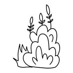 A hand drawn illustration of bush in a minimalist style. Perfect for creating natural and organic designs for backgrounds, borders and nature-themed projects.
